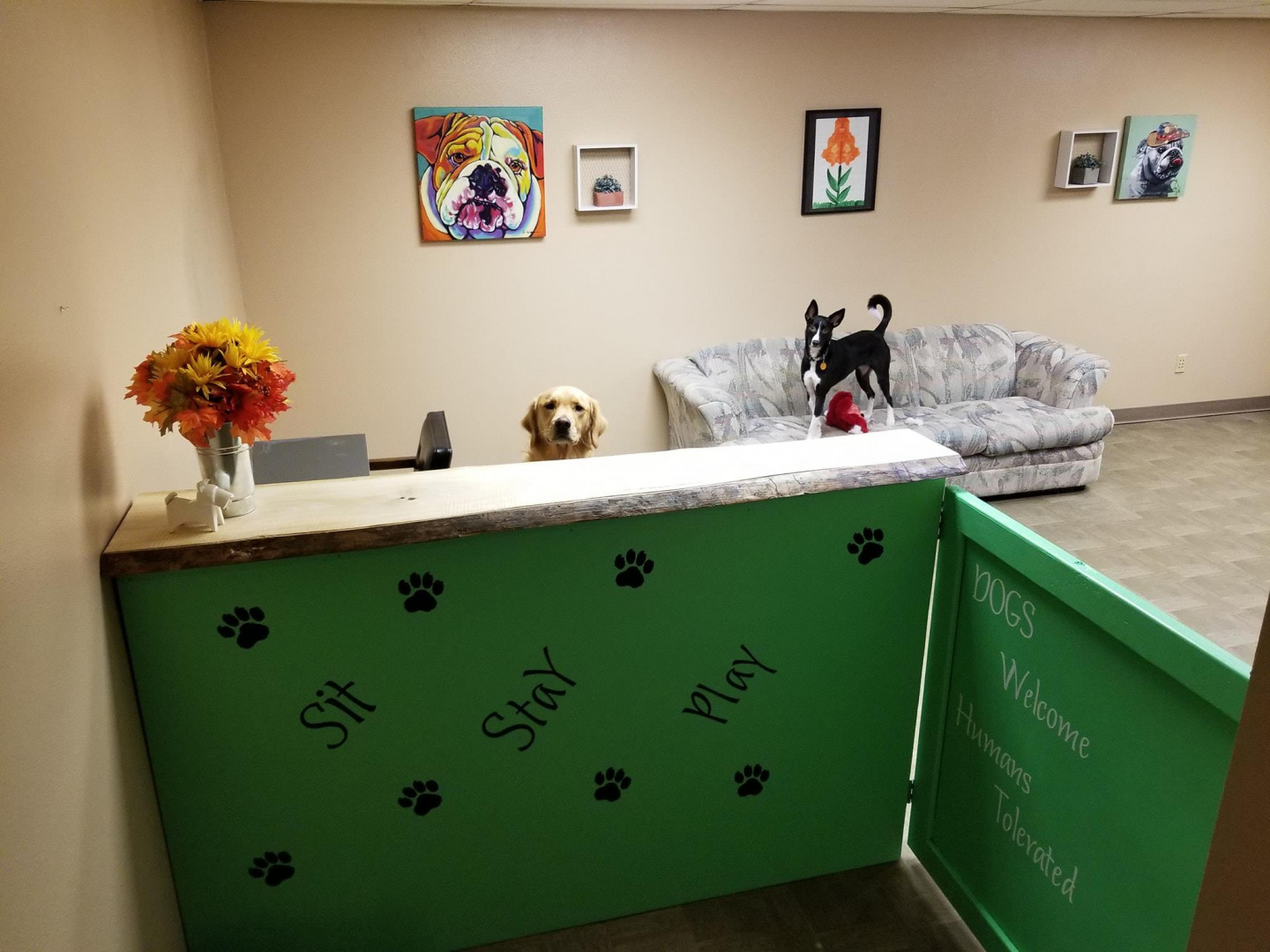 Pet Grooming Services | Bismarck, ND | Puppy Salon